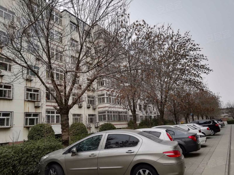 小王庄建行宿舍,代家园西路-沧州小王庄建行宿舍二手房,租房,房价