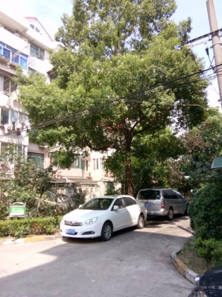 金浦小区(金桥) 