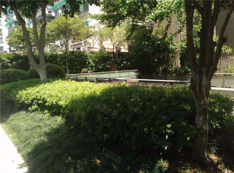 南肖埠御景苑,太平门直街216号-杭州南肖埠御景苑二手房,租房,房价