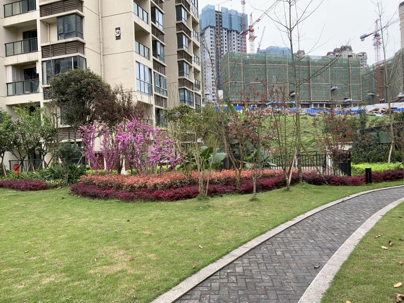 宗申金蓝湾(三期)