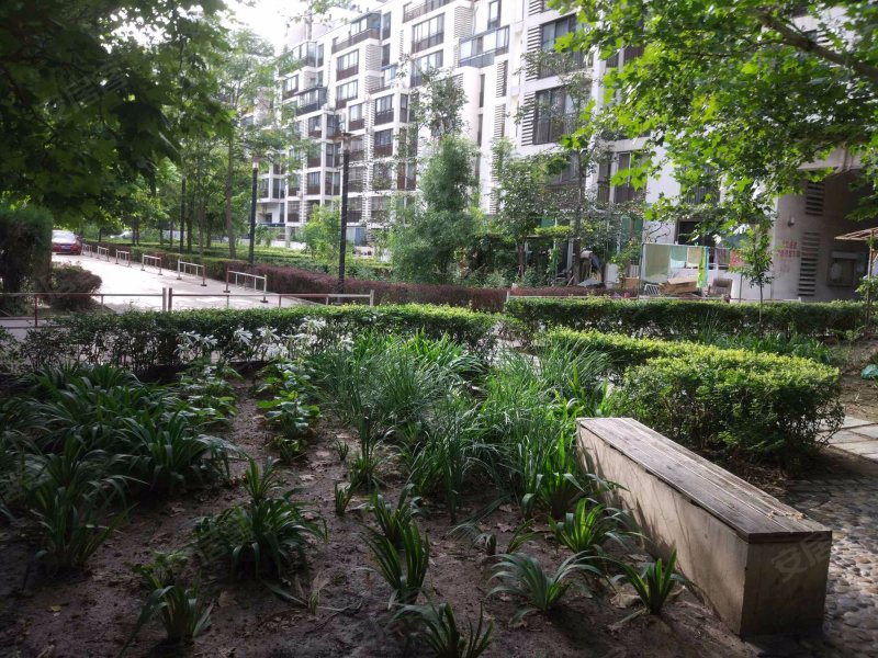 柏林爱乐(二期)