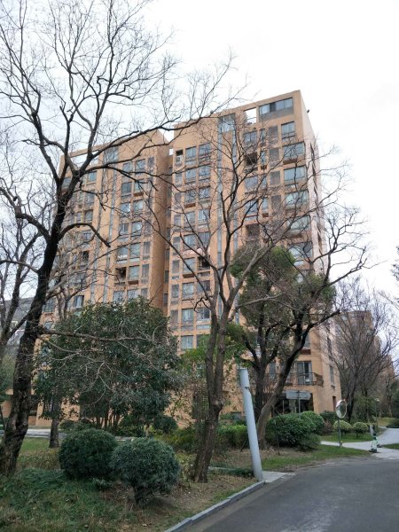 浦江华侨城(三期) 