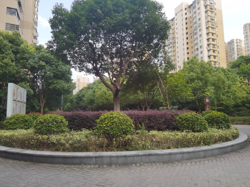 天山花园,南湖路-常州天山花园二手房,租房,房价-常州安居客