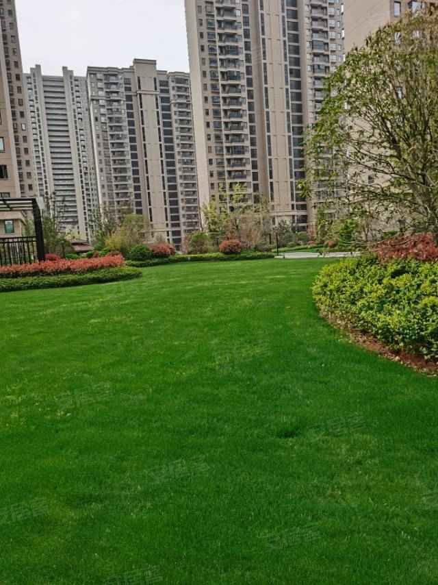 新力琥珀园二期3室2厅1卫