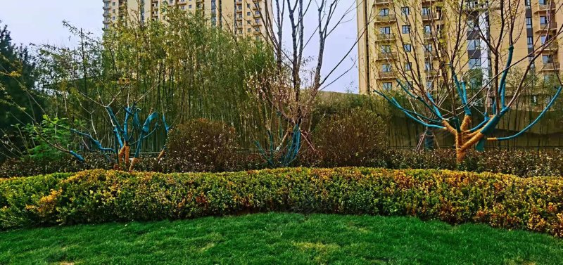 树人莱雅居,和定路-兰州树人莱雅居二手房,租房,房价-兰州安居客