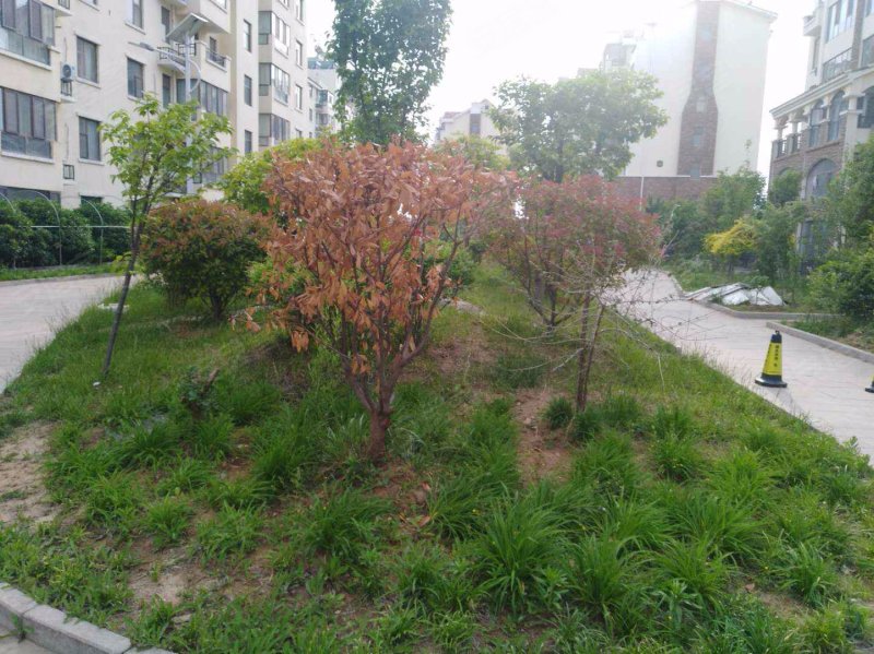 银河湾小区(费县)