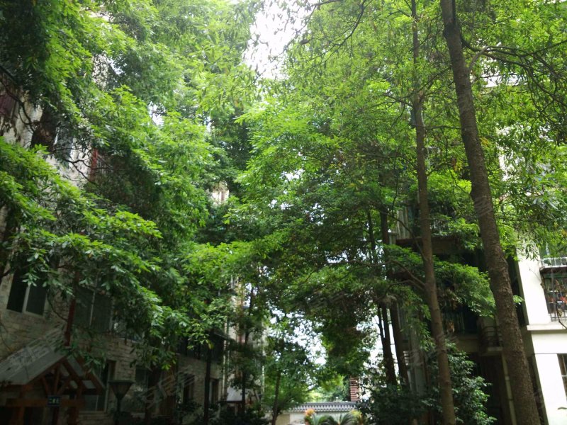 西区丽景花园,下街428号-成都西区丽景花园二手房,租房,房价-成都安居