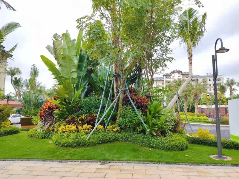 海南臻园(别墅)