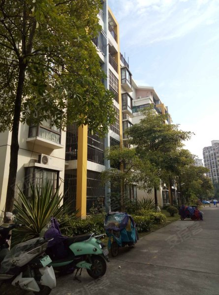 富宁新兴苑(南区)