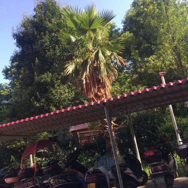 星河城,常德大道,近林荫路-常德星河城二手房,租房,房价-常德安居客