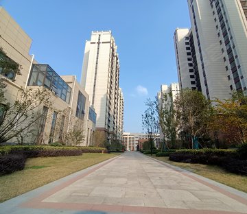 龙湖光年