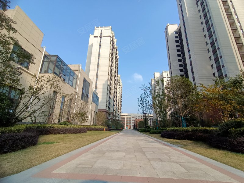 华侨城空港国际小镇,空港大道 - 合肥华侨城空港国际小镇二手房,租房