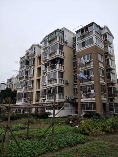 民惠佳苑(五区公寓住宅)