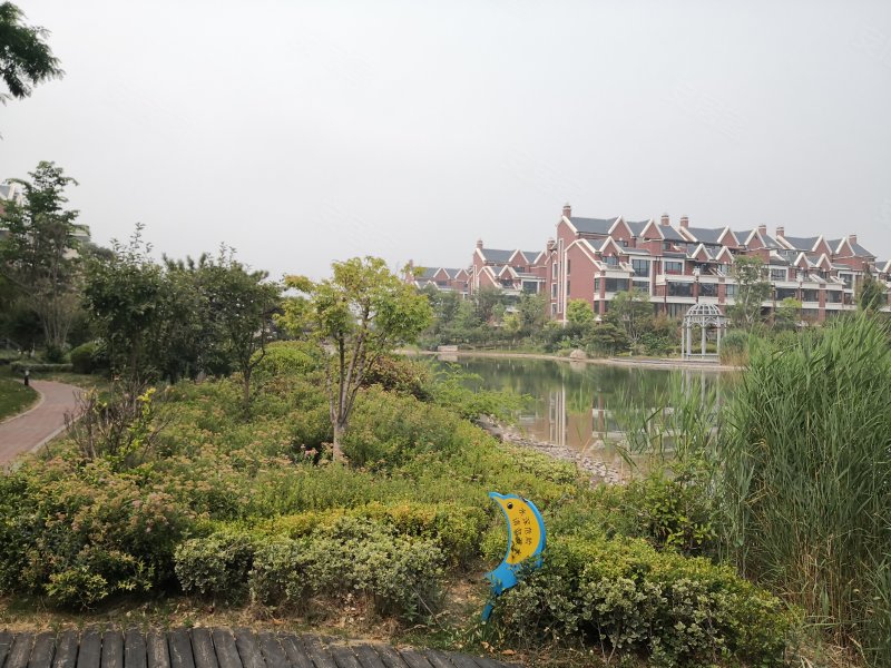 金域东山(别墅),宝山路