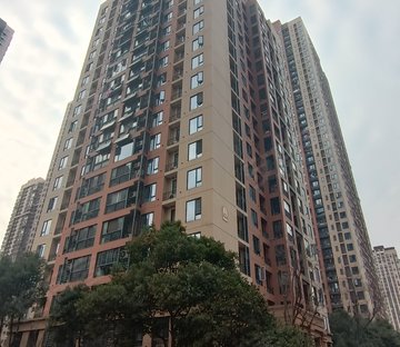 万科汉口传奇唐樾