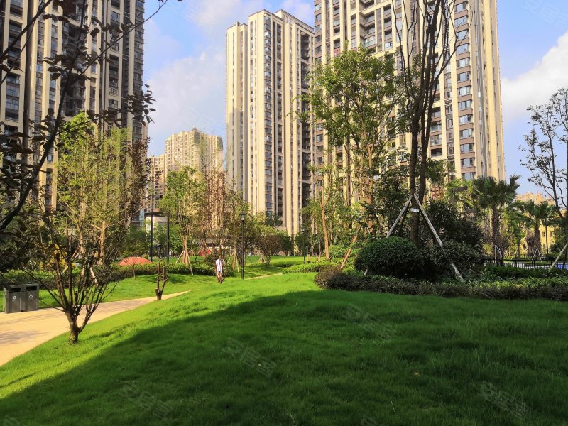 鲁能九龙花园东郡