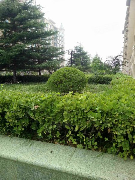 半岛蓝湾,北京路,近山东路 -青岛半岛蓝湾二手房,租房,房价-青岛安居