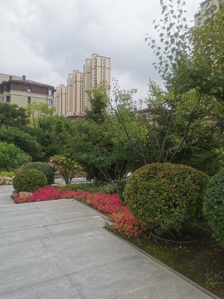 富力城,万和街,近万华街-鞍山富力城二手房,租房,房价-鞍山安居客