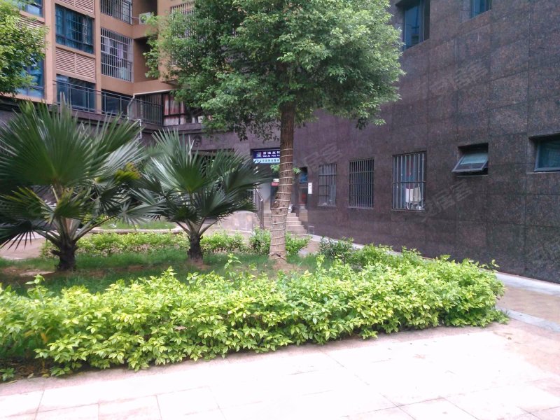 百江花园,九龙大道1167号-漳州百江花园二手房,租房,房价-漳州安居客