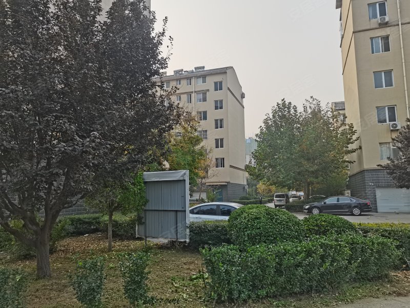 聚龙花园,渤海二十一路-滨州聚龙花园二手房,租房,房价-滨州安居客