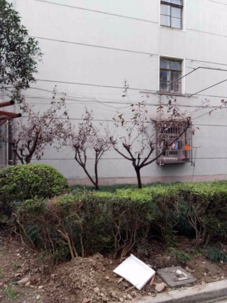 南大路76弄小区 