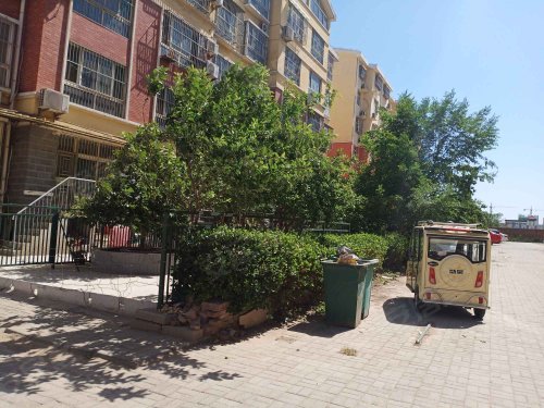 迅力龙山雅居,龙山路 - 临清迅力龙山雅居二手房,租房,房价-临清安居