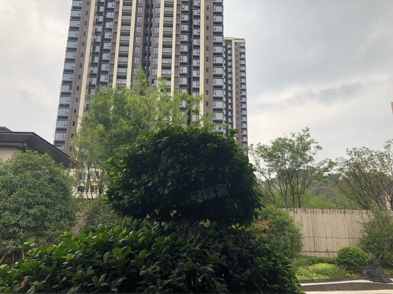 金科联发东悦府