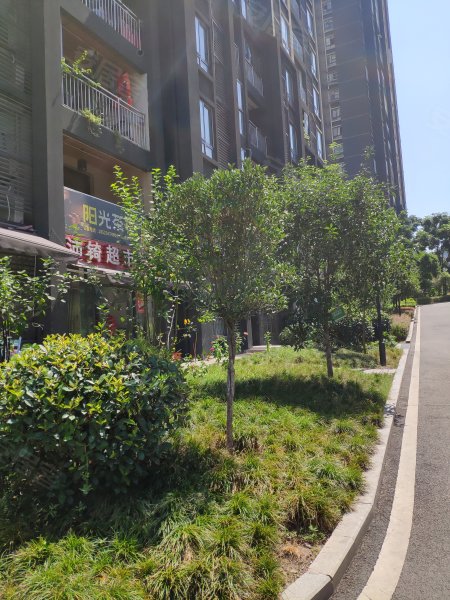 阳光丽苑,港安一路11号-兰州阳光丽苑二手房,租房,房价-兰州安居客