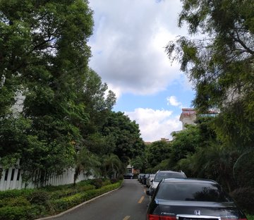 碧桂园翠堤春晓