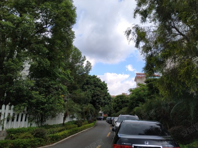 碧桂园翠堤春晓