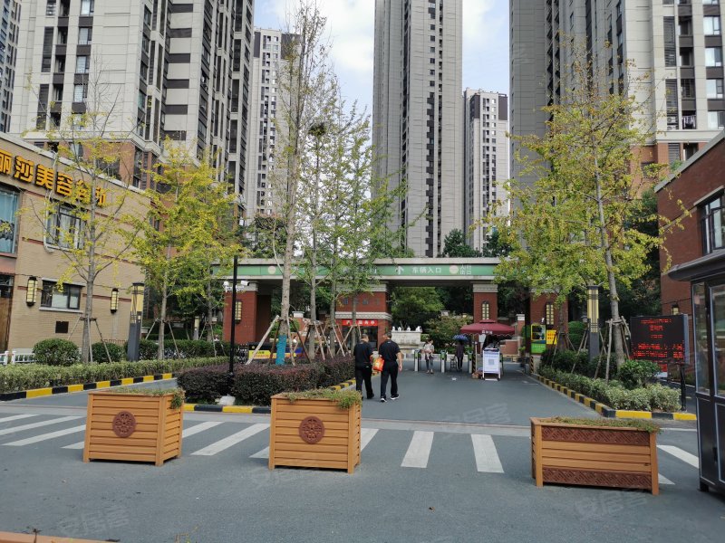 万科森林公园朗庭,紫衫路128号-合肥万科森林公园朗庭二手房,租房