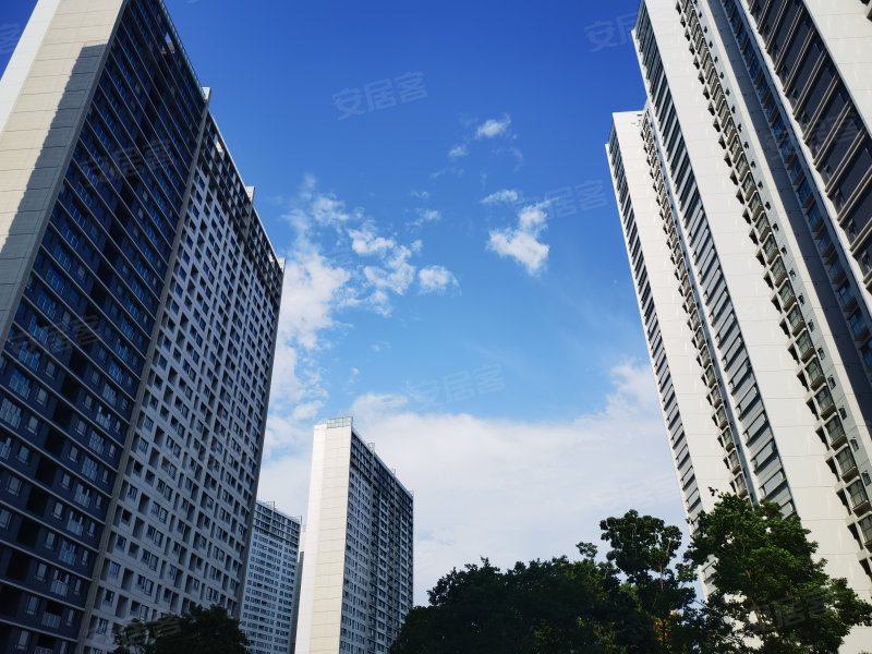 裕沁庭(西区),玉成路,近金源路-苏州裕沁庭(西区)二手房,租房,房价