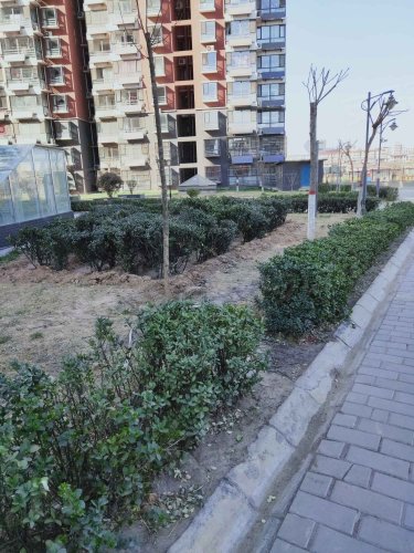 同安花园,同安街429号 - 武安同安花园二手房,租房,房价-武安安居客