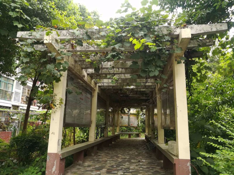 汇龙花园,正义路30附2-3号-武汉汇龙花园二手房,租房,房价-武汉安居客