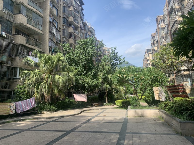 武夷绿洲三期,福光南路379号-福州武夷绿洲三期二手房,租房,房价-福州