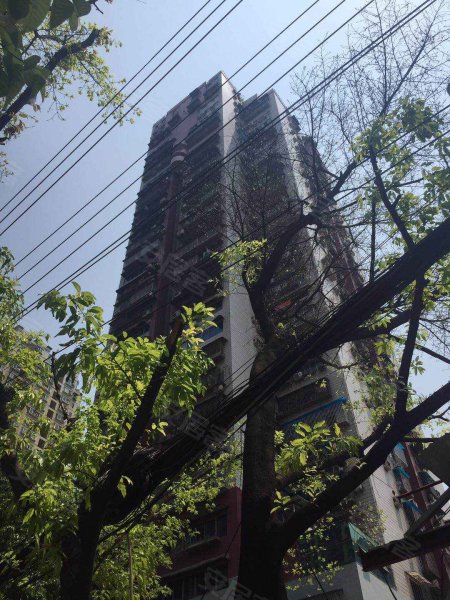 金紫门大厦,解放西路69号-重庆金紫门大厦二手房,租房,房价-重庆安居