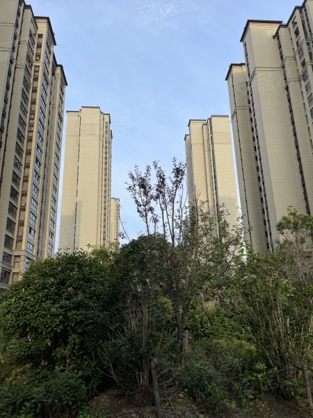 吾悦华府,东圩路-连云港吾悦华府二手房,租房,房价-连云港安居客