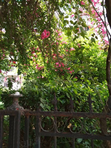 五凤山庄,白龙支路18号-福州五凤山庄二手房,租房,房价-福州安居客