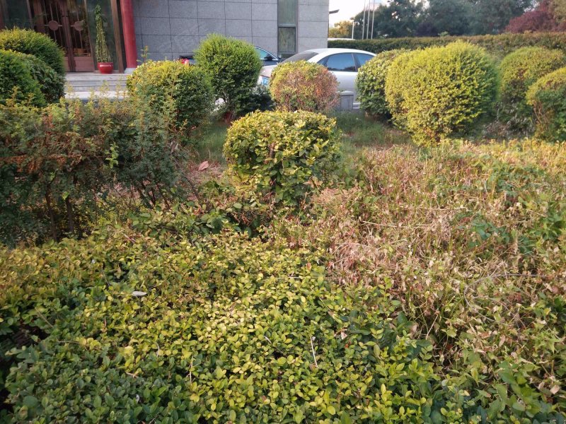 天力大厦,科技四路191号