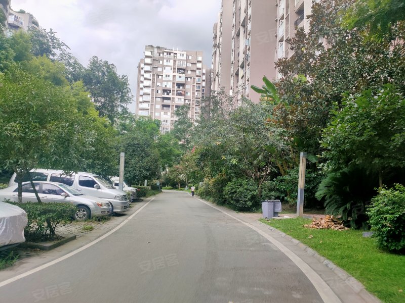 文星花园,川大路三段266号-成都文星花园二手房,租房,房价-成都安居客