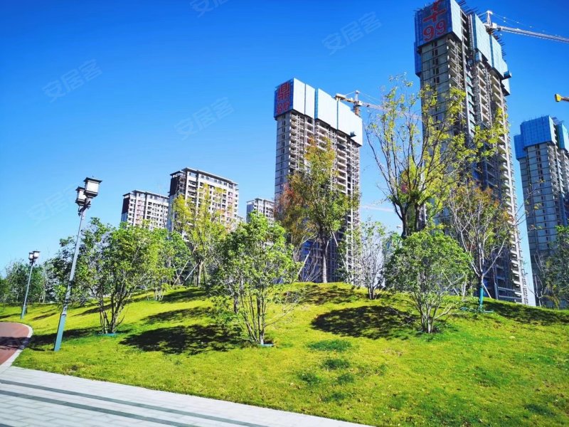 富田城九鼎华府八号院