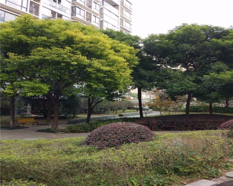 香梅花园,关河东路-常州香梅花园二手房,租房,房价-常州安居客