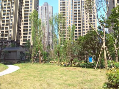 百瑞景中央生活区六期