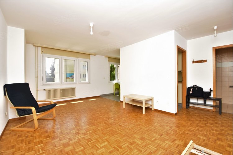 瑞士约¥155万For Investors: Apartment d二手房公寓图片