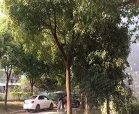 金东名苑(西区) 