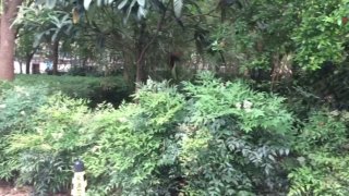 阳光欧洲城一期(公寓住宅) 