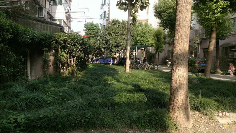 高兴花园一街坊,莘朱路879弄1-28号-上海高兴花园一街坊二手房,租房