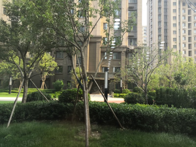 星光和园,光岳南路,近黄河路-聊城星光和园二手房,租房,房价-聊城安居