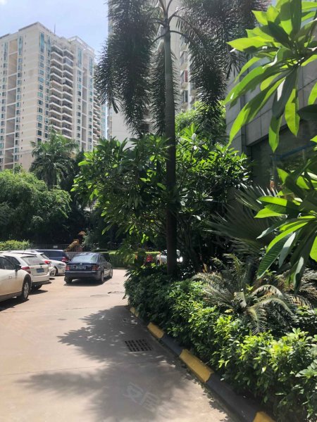 金山广场,金贸西路6号-海口金山广场二手房,租房,房价-海口安居客