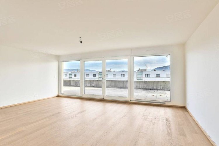 瑞士约¥1328万FB91二手房公寓图片